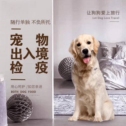 东方市宠物托运到哥伦比亚猫狗宠物入境规定和