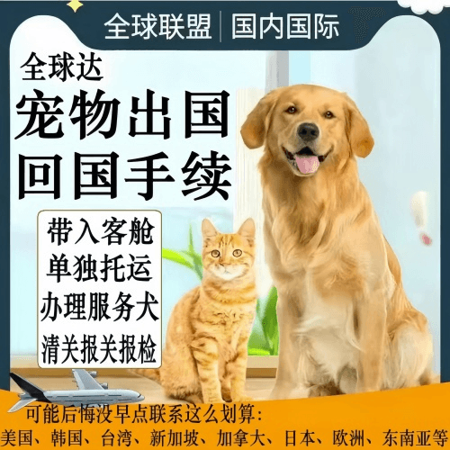 东方市宠物托运到柬埔寨宠物入境规定和要求