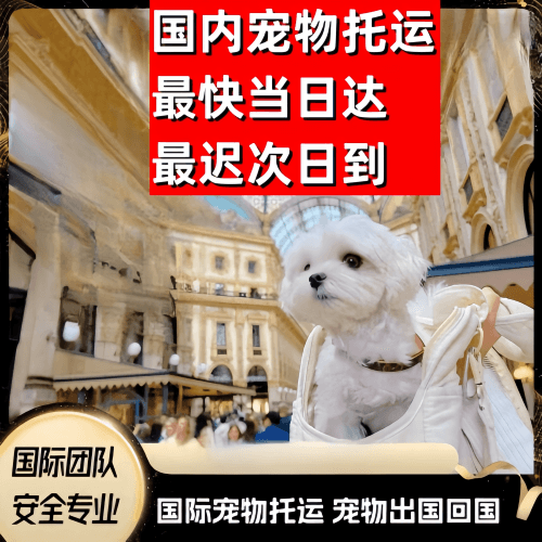 东方市到澳大利亚（澳洲）宠物入境规定和要求