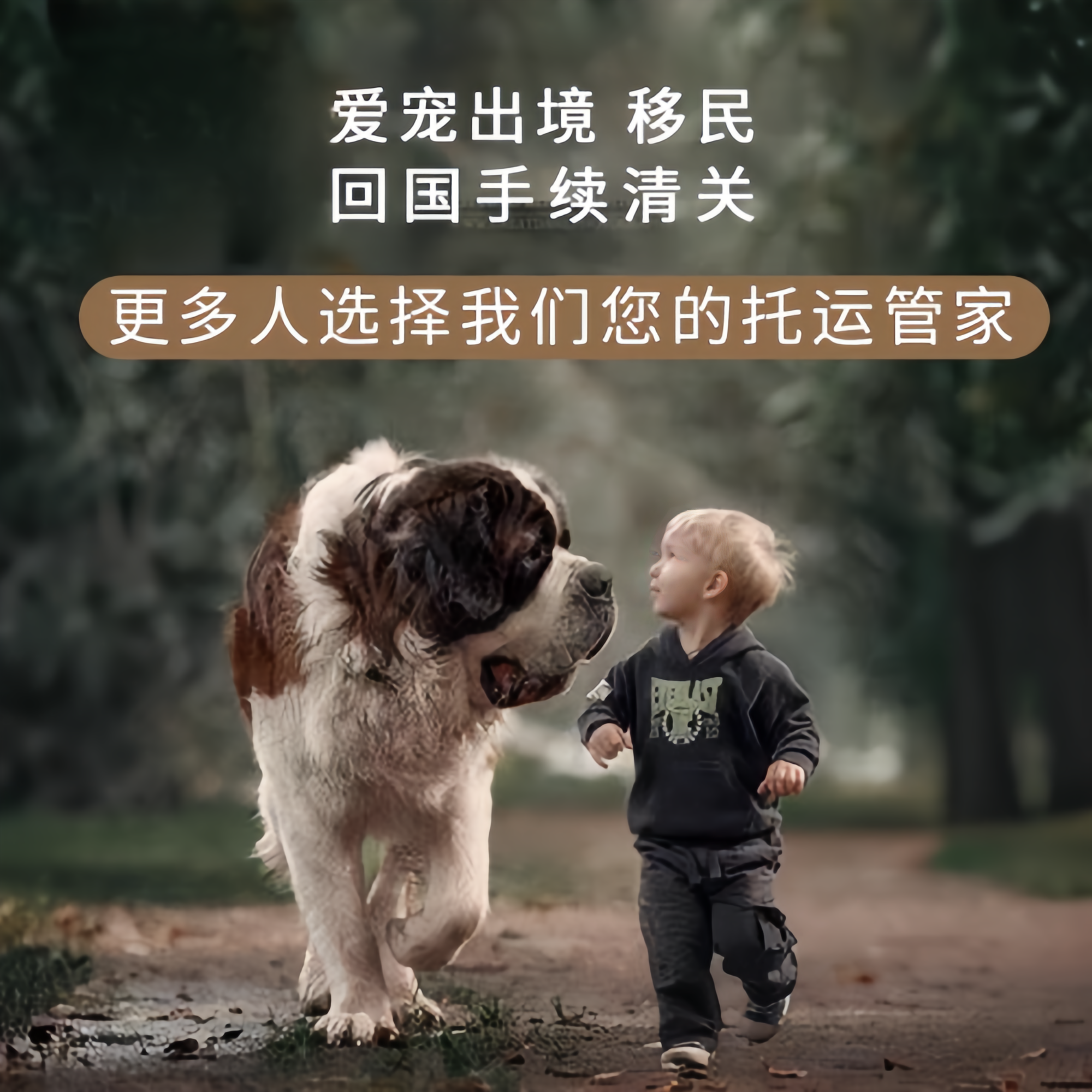 满财东方市宠物全球达宠物托运在遵守入境目的地政策的条件