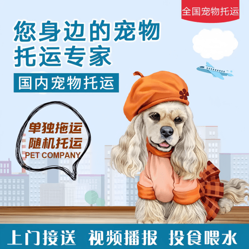 满财东方市宠物全球达宠物托运作为专业的宠物运输代理机构
